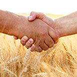 COMPROMISO