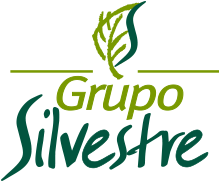 Grupo Silvestre